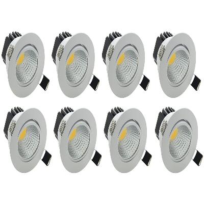 12 Watt COB Light