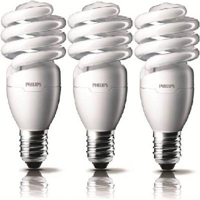 15 Watt CFL Bulb