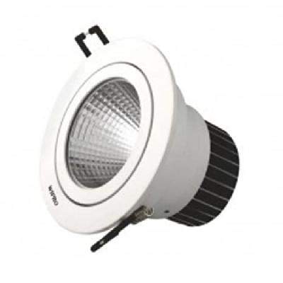 15 Watt COB Light