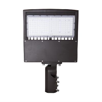 80 Watt Flood Light