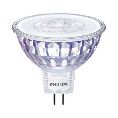Philips LED Lights
