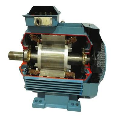 Cut Section Motor Of 3 Phase Motor