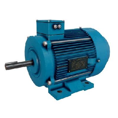 Shunt Generator Coupled To Ac Squirell Cage Induction Motor