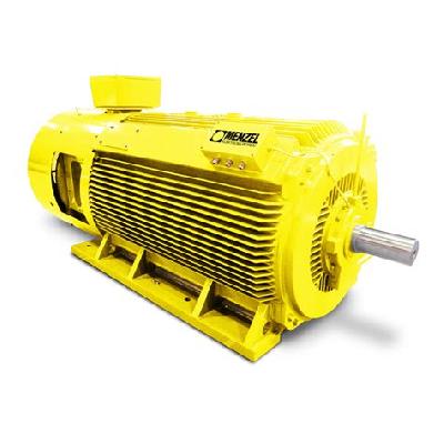 Slipring Motor