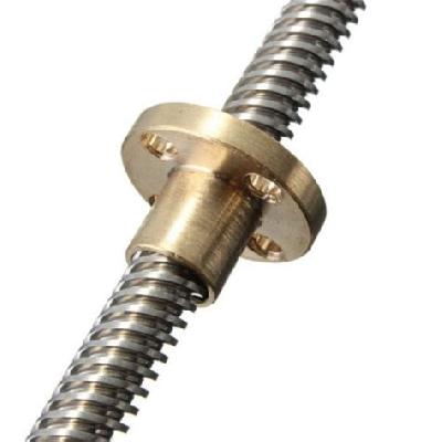 300mm Leadscrew With Nut