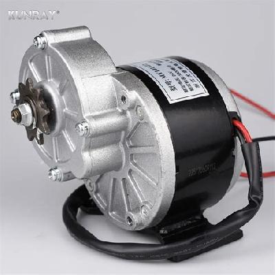 E Bike DC Motor 24Volt 250 Watt Gear Motor Kit With Charger