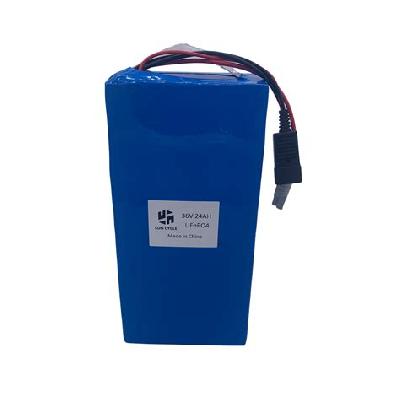 LFP (LiFePo4) Battery Pack 36V 24Ah For EV