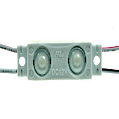 2 LED Module