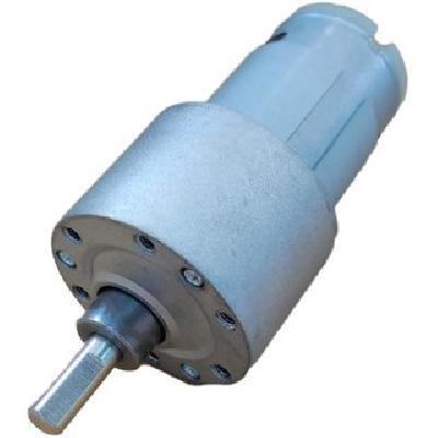Johnson Gear Motor