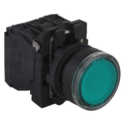Schneider Push Button