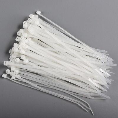 Nylon Cable Tie