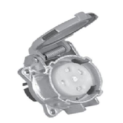 BCH - SS Type Plugs 
