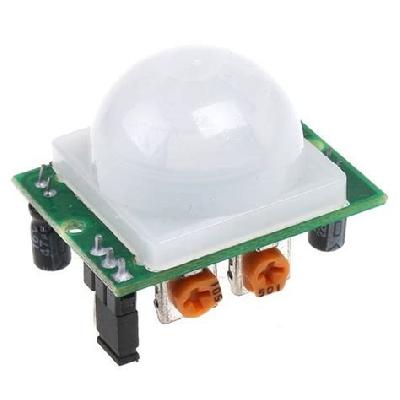 PIR Motion Detector 