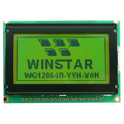 GRAPHIC LCD DISPLAY