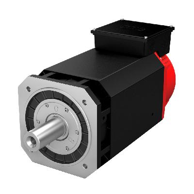 Servo Spindle Motors