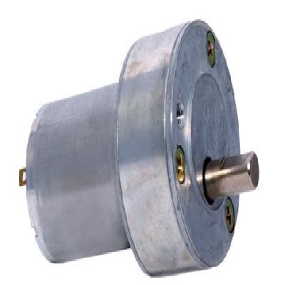 Probots 300 RPM RS-50 High Torque Side Shaft DC Geared Motor