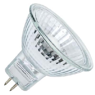 5 Watt LED Bulb