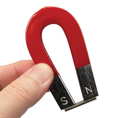 Horse Shoe Magnet