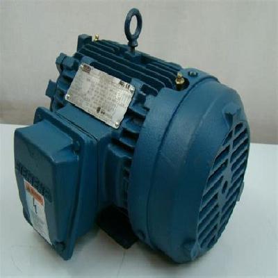 Siemens Motor