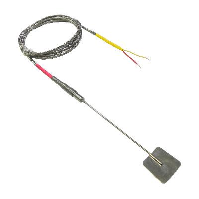 RDT Sensor and Thermocouple