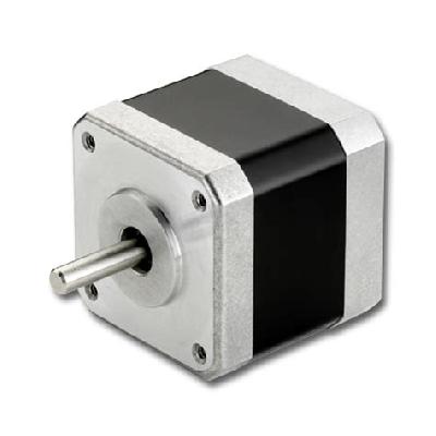AC Stepper Motor
