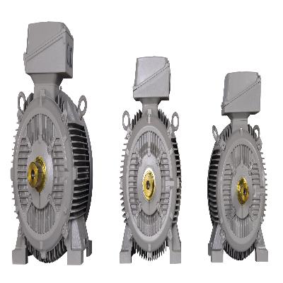 CG Flame Proof Motors