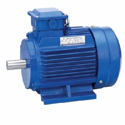 Crompton IE2-IE3 Motors