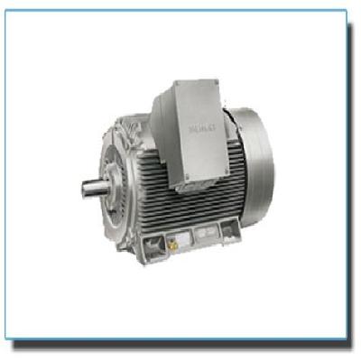 Siemens 1PQ0 Converter Duty Motors