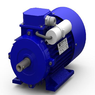 Single Phase AC Induction Motor