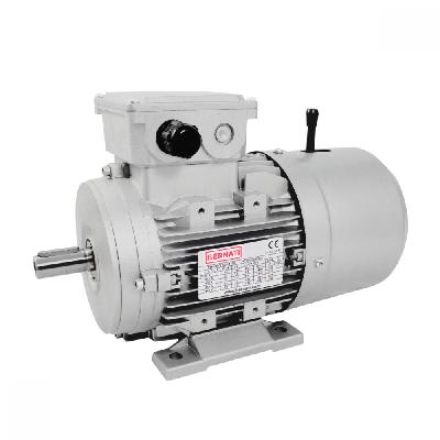  Dc Brake Motor