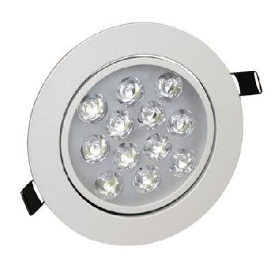 LED Down Light