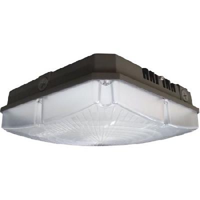 40W LED Canopy Light