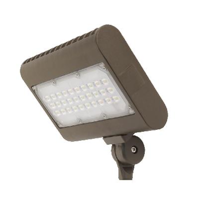 Electric Flood Light