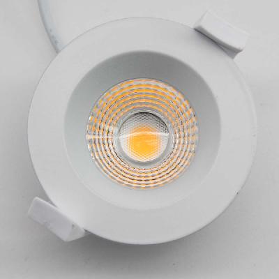 LED Down Light