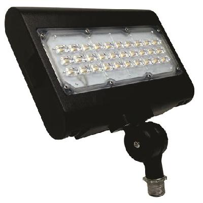 LED Flood Light