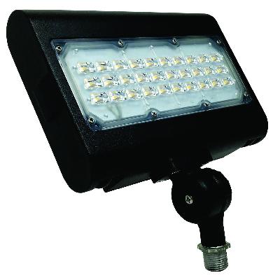 LED FloodLight