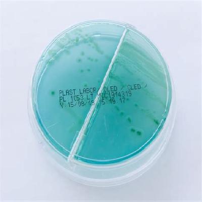 Cled Agar Plate