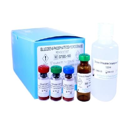 G6PDH Kinetic Quantitative 12 Test