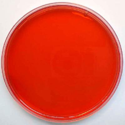 Macconkey Agar 500gm