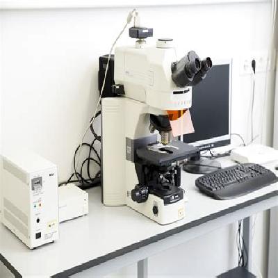 Fluorescence Microscope