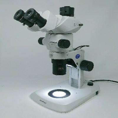 Stereo Zoom Microscopes