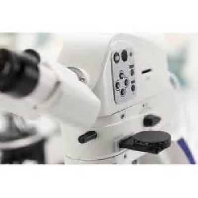 Upright Microscope Primotech