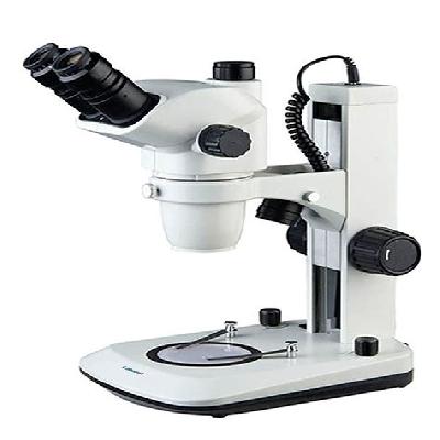 Zoom Stereo Microscopes