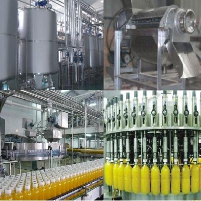 Fruit Juice Processing Plant
