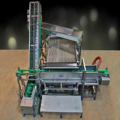 Mashroom  Canning  Line