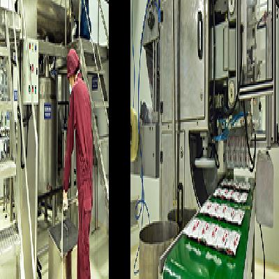 Rutf Plant