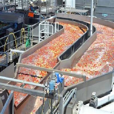 Tomato Processing Plant Machinery