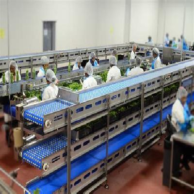 Vegitable processing line