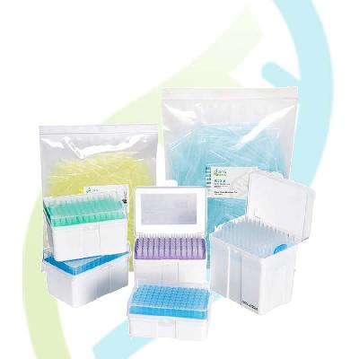 10 Tray Pipette Tip Racked