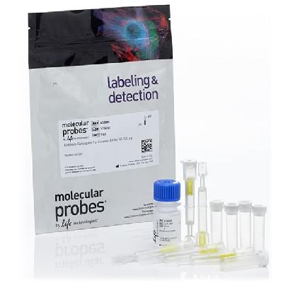 Antibody Productions And Purification Kit